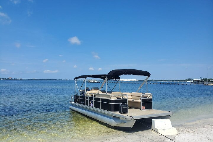 Private 2-Hour Dolphin and Sightseeing Tour - Photo 1 of 4